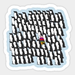 Black and White Penguins and a Rainbow Penguin Sticker